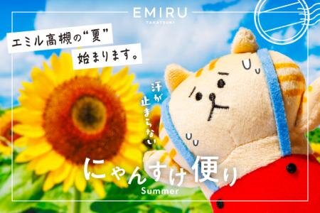 にゃんすけ夏便り