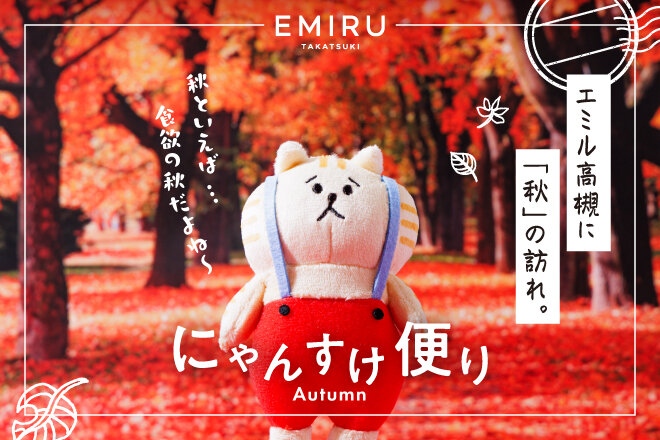 にゃんすけ便り＜秋号＞