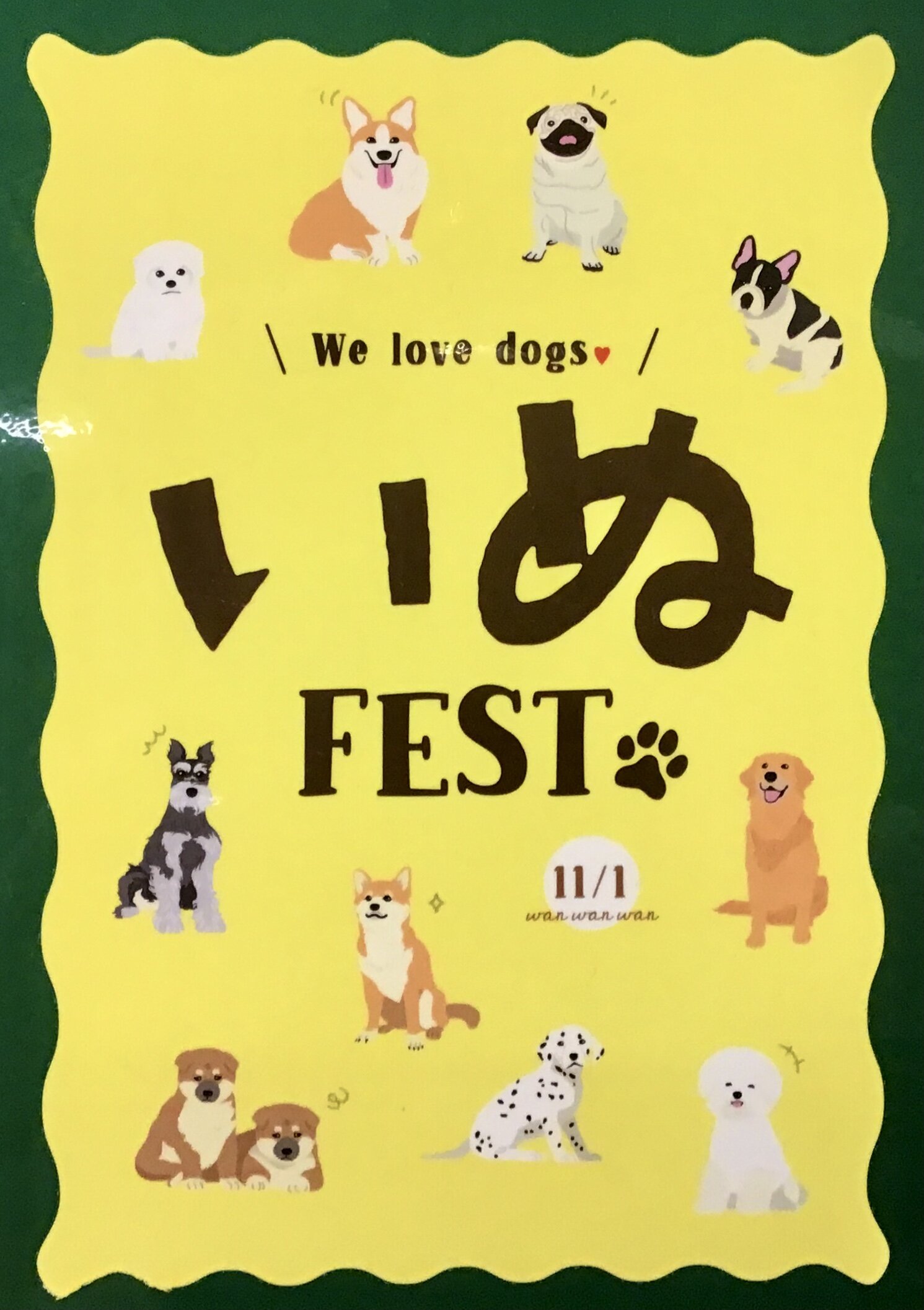 11/1は犬の日です♩