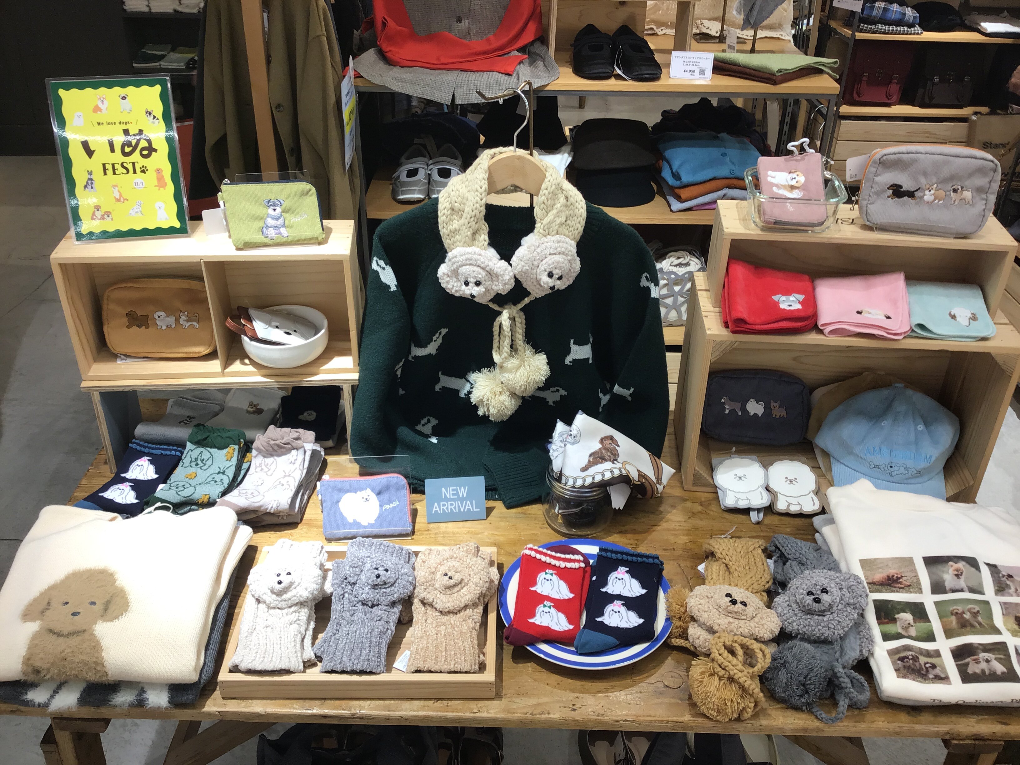 11/1は犬の日です♩